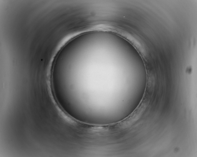 X0000103161478200808221343