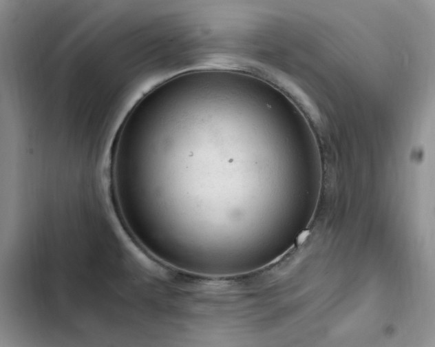 X0000103161479200808221343