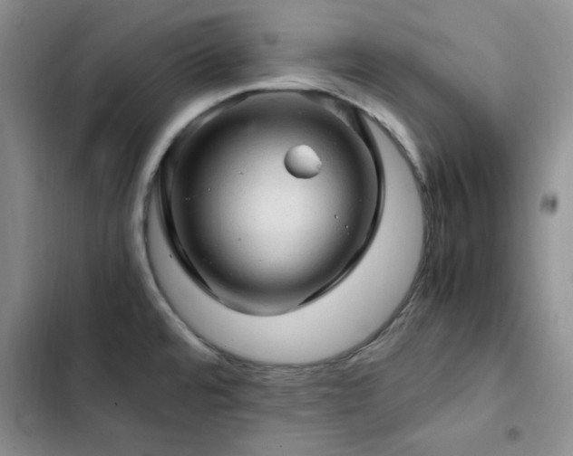 X0000103161480200808221342