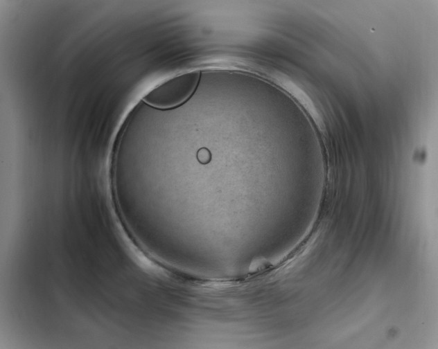 X0000103161482200808221342