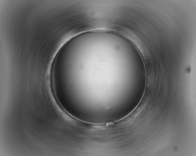X0000103161483200808221342