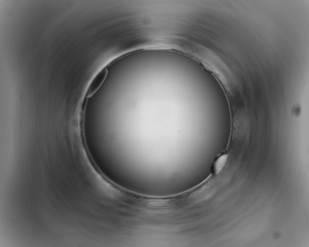 X0000103161484200808221342