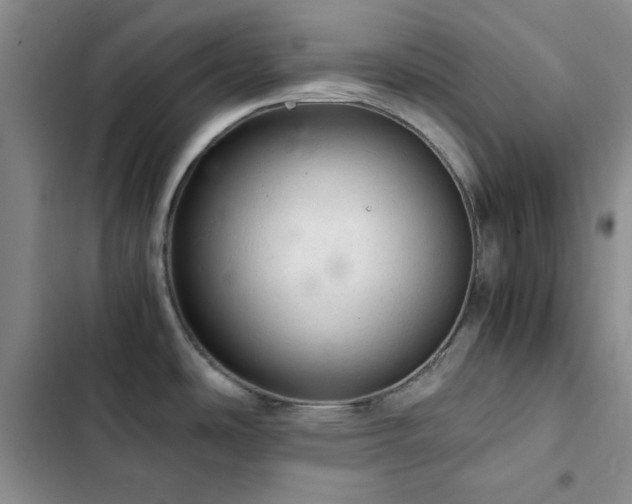 X0000103161486200808221342