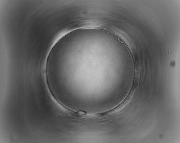 X0000103161487200808221342