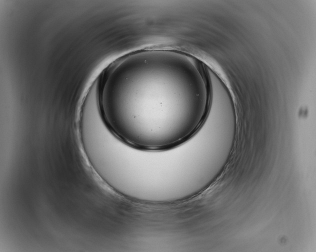 X0000103161488200808221342