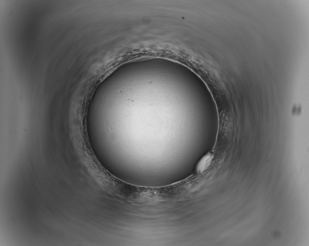 X0000103161489200808221342