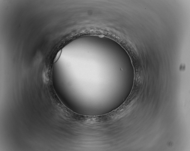 X0000103161490200808221342