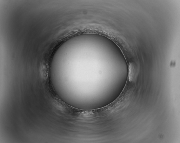 X0000103161491200808221342