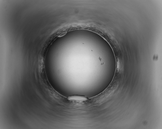 X0000103161492200808221342