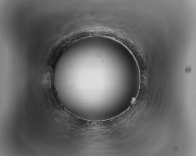 X0000103161493200808221342
