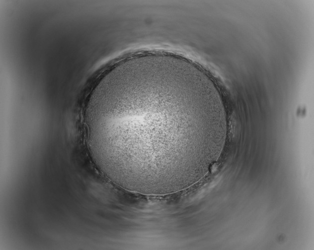X0000103161494200808221342