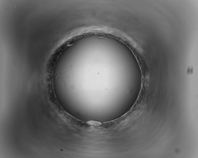 X0000103161496200808221342