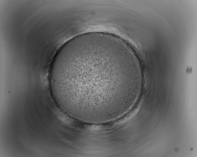 X0000103161497200808221342