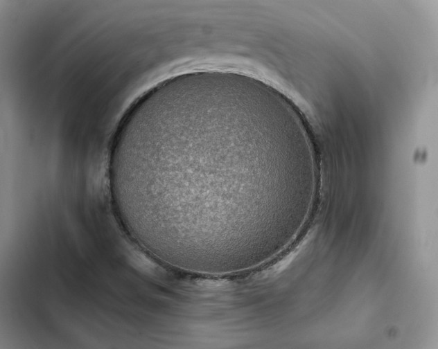 X0000103161498200808221342
