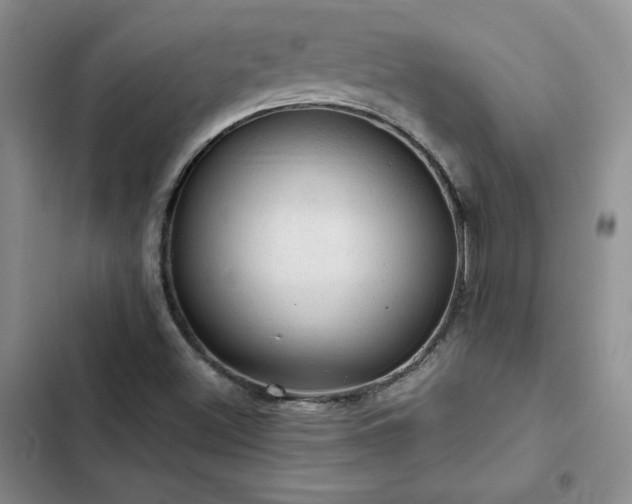 X0000103161500200808221342