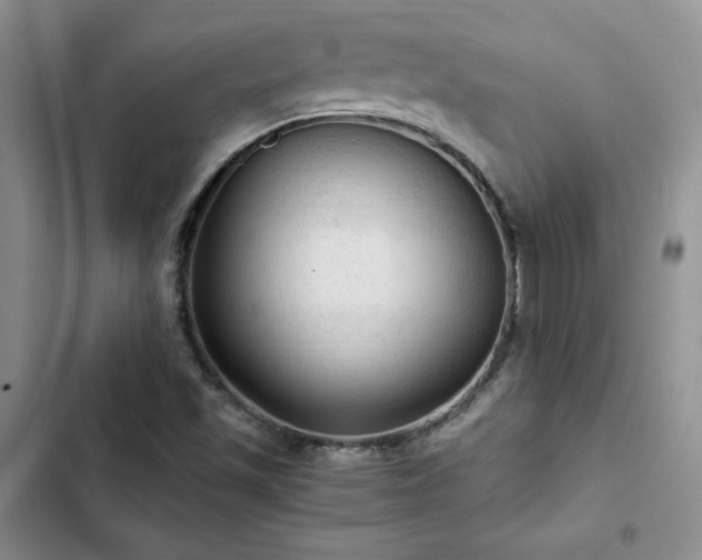 X0000103161501200808221342