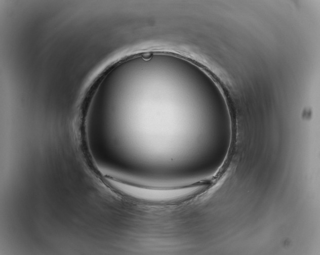 X0000103161502200808221342