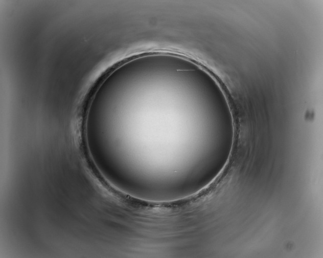 X0000103161503200808221342