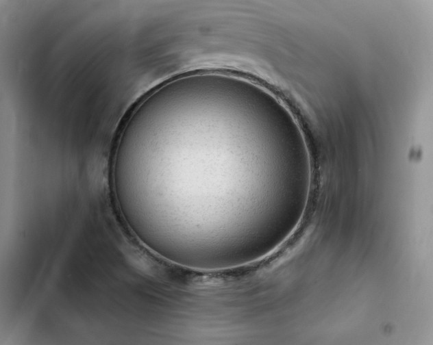 X0000103161505200808221342