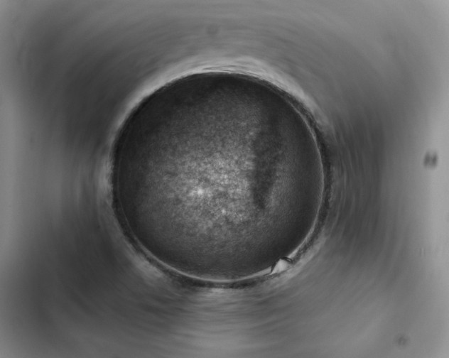 X0000103161506200808221342