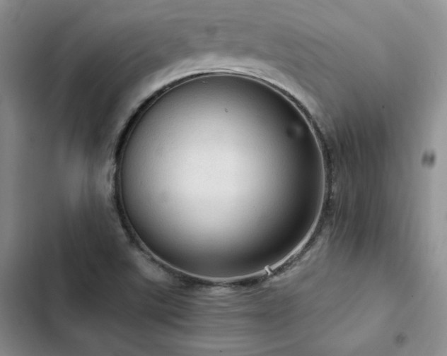X0000103161507200808221342