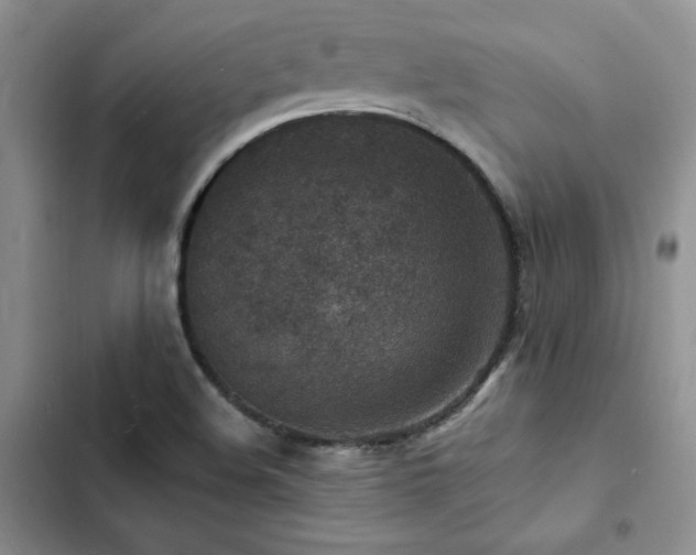 X0000103161508200808221342