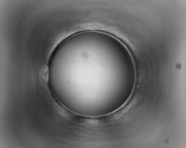X0000103161509200808221342