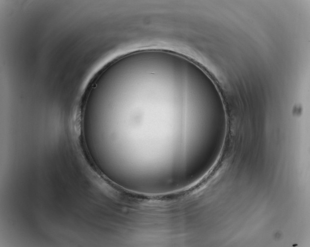X0000103161510200808221342