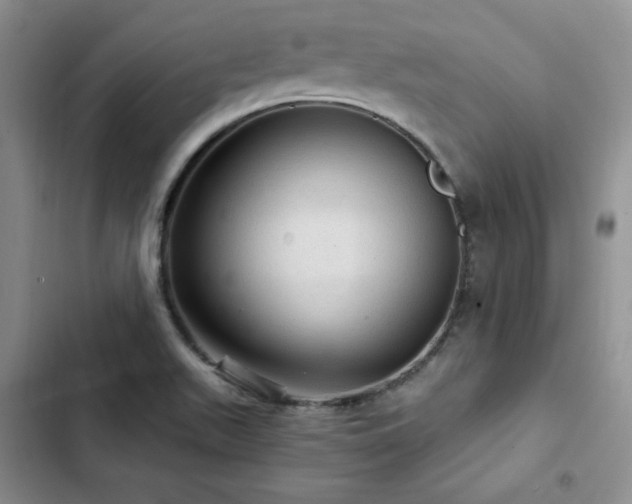 X0000103161511200808221342