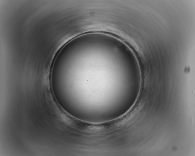 X0000103161513200808221342