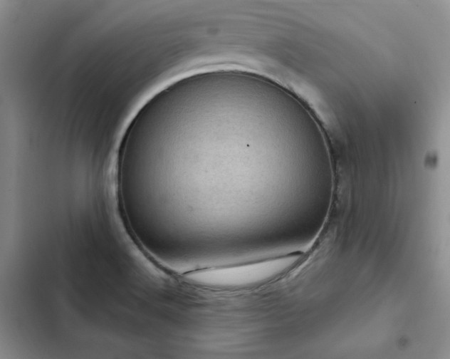 X0000103161516200808221342