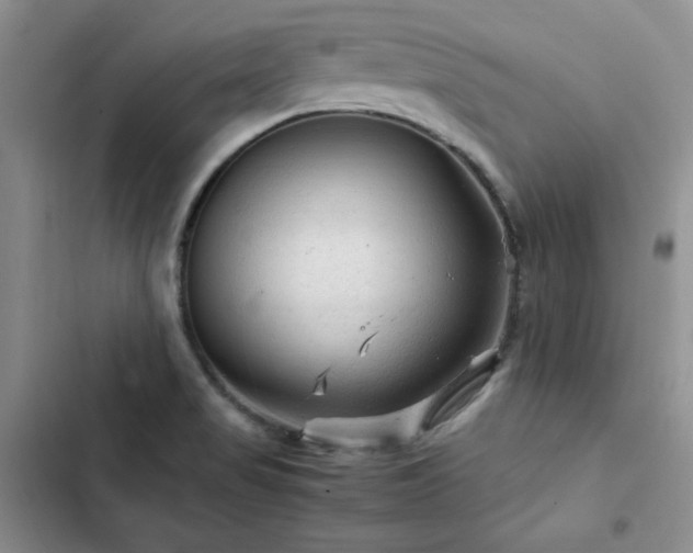 X0000103161517200808221342