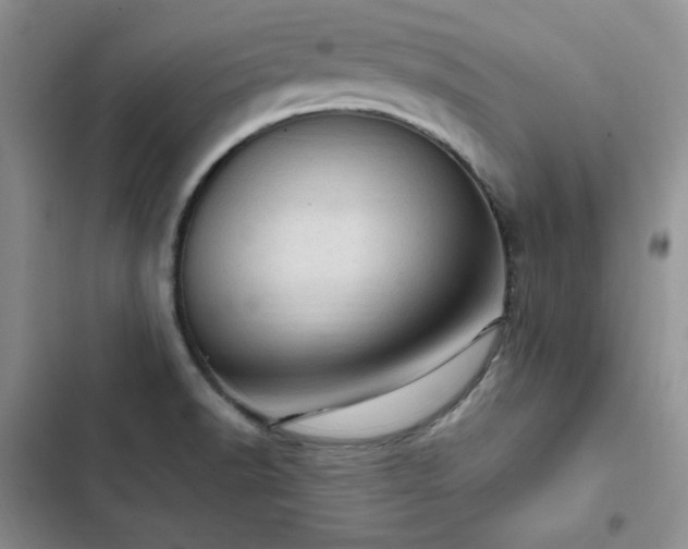 X0000103161518200808221342