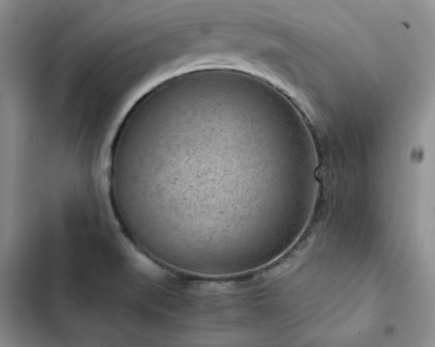 X0000103161519200808221342
