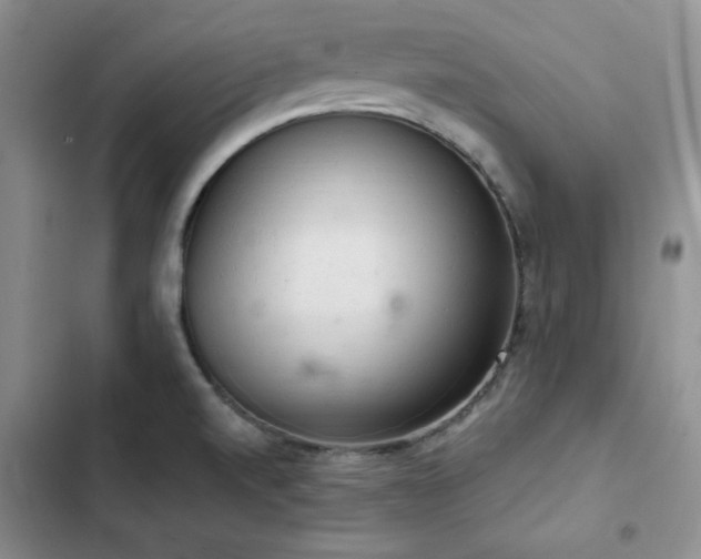 X0000103161520200808221342
