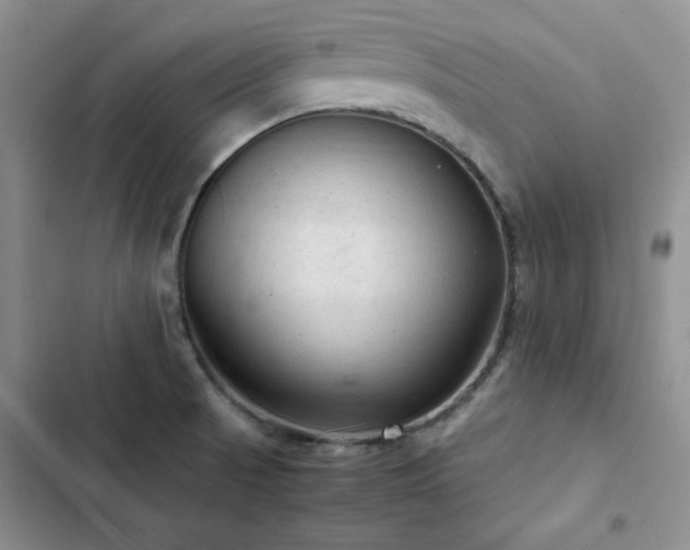 X0000103161521200808221342