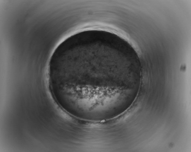 X0000103161522200808221342