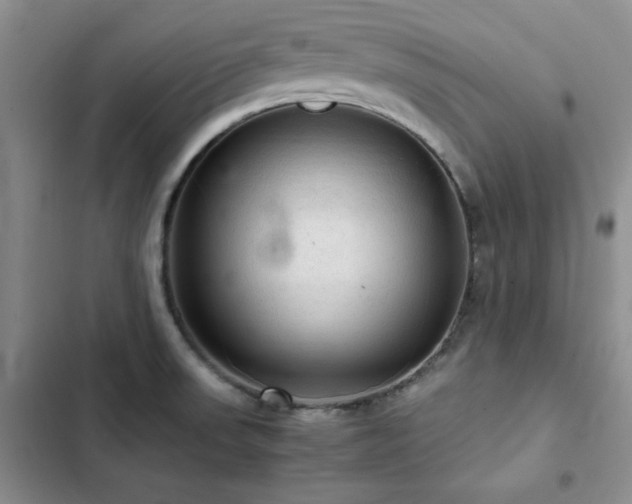 X0000103161523200808221342