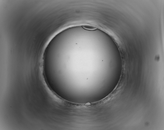 X0000103161524200808221342
