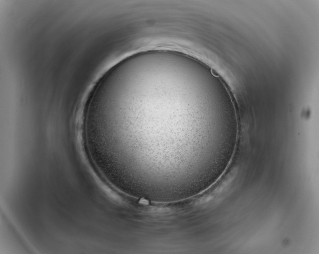X0000103161525200808221342