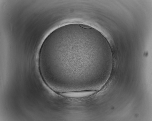 X0000103161527200808221342