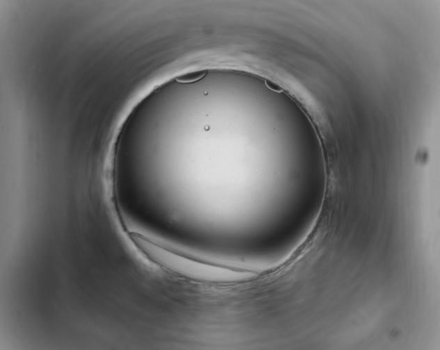 X0000103161528200808221342