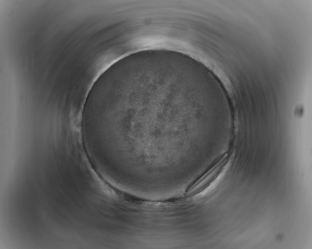 X0000103161529200808221342