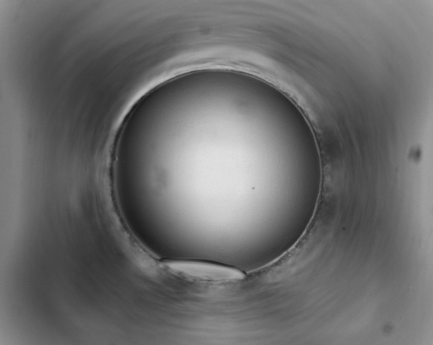 X0000103161530200808221342