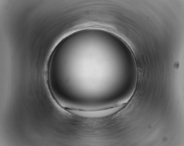 X0000103161531200808221342