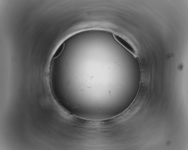 X0000103161532200808221342