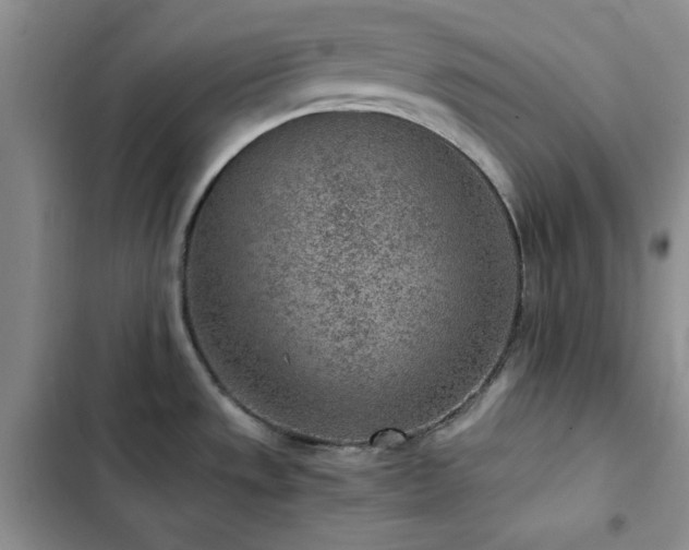 X0000103161533200808221342