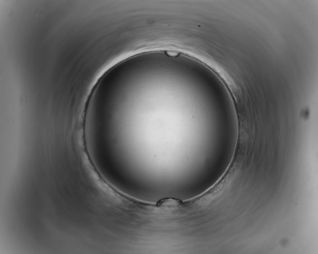 X0000103161534200808221342