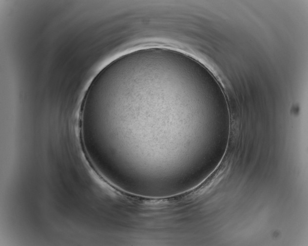 X0000103161535200808221342