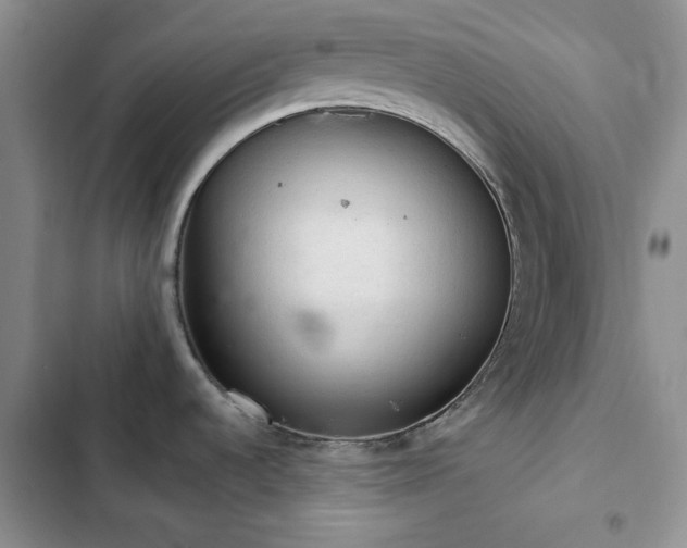 X0000103161536200808221342